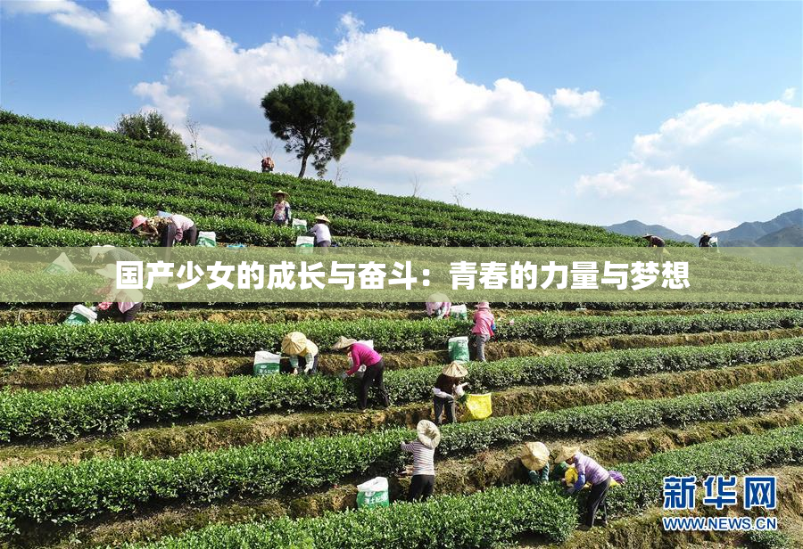 国产少女的成长与奋斗：青春的力量与梦想