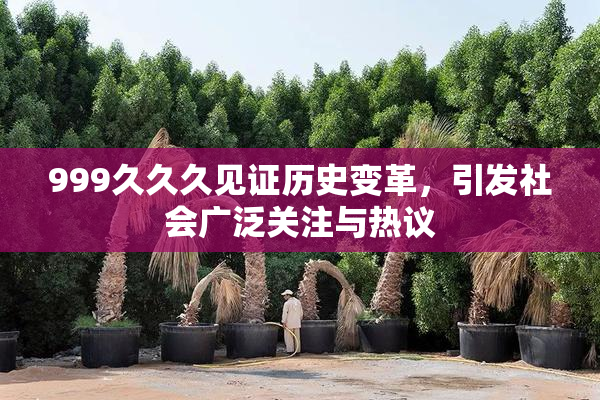 999久久久见证历史变革，引发社会广泛关注与热议