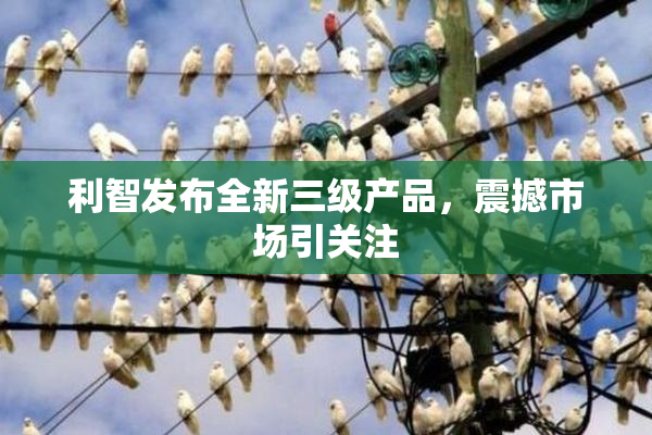 利智发布全新三级产品，震撼市场引关注