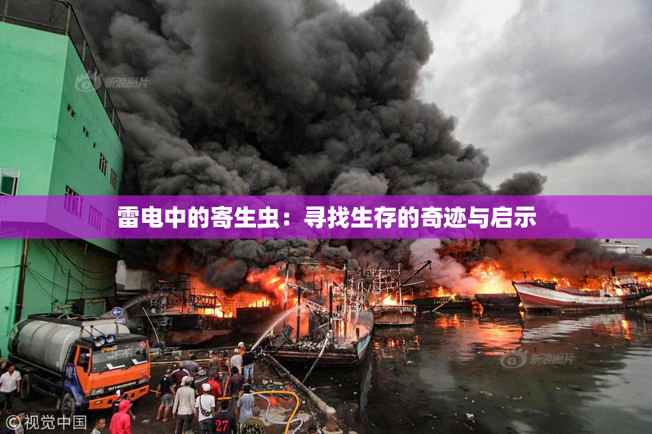 雷电中的寄生虫：寻找生存的奇迹与启示