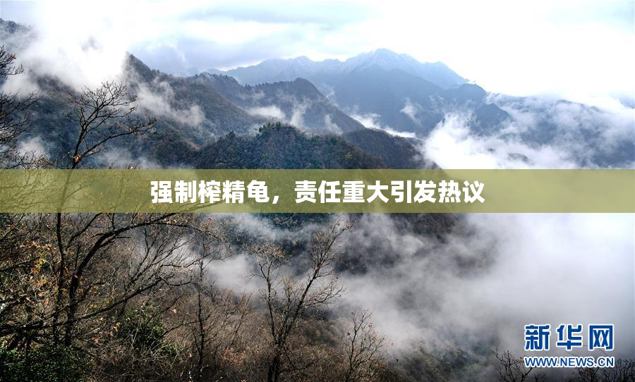 强制榨精龟，责任重大引发热议