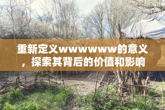 重新定义wwwwww的意义，探索其背后的价值和影响