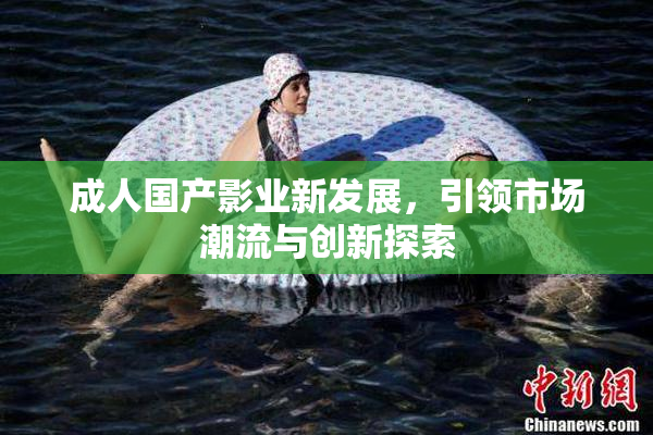 成人国产影业新发展，引领市场潮流与创新探索