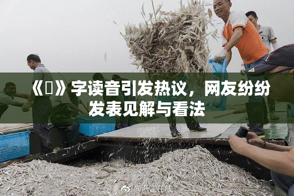 《屍》字读音引发热议，网友纷纷发表见解与看法