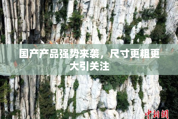 国产产品强势来袭，尺寸更粗更大引关注