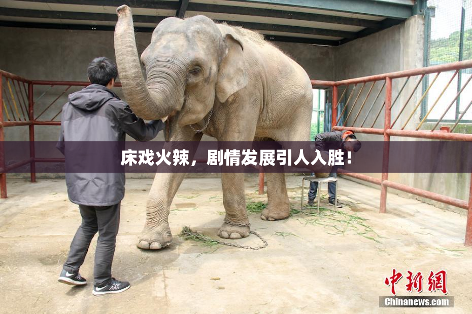 床戏火辣，剧情发展引人入胜！