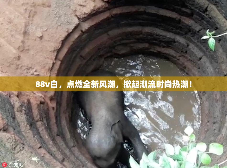 88v白，点燃全新风潮，掀起潮流时尚热潮！