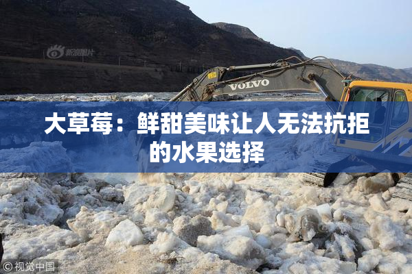 大草莓：鲜甜美味让人无法抗拒的水果选择