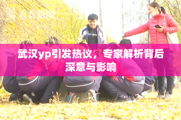 武汉yp引发热议，专家解析背后深意与影响