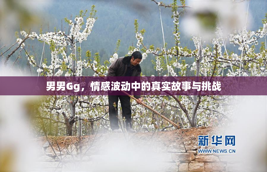 男男Gg，情感波动中的真实故事与挑战