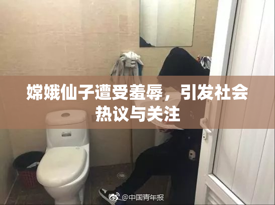 嫦娥仙子遭受羞辱，引发社会热议与关注