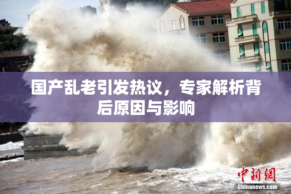 国产乱老引发热议，专家解析背后原因与影响