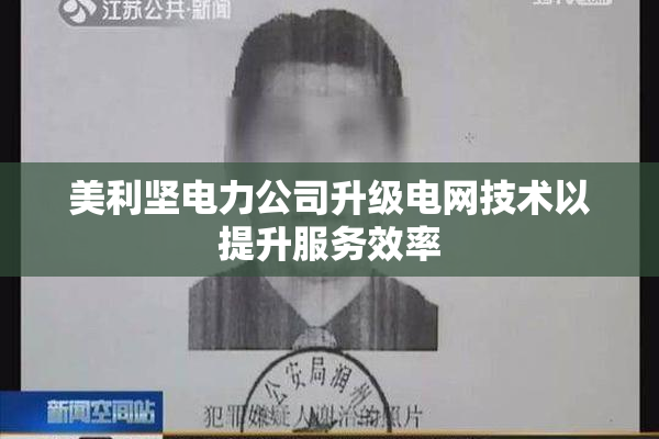 美利坚电力公司升级电网技术以提升服务效率