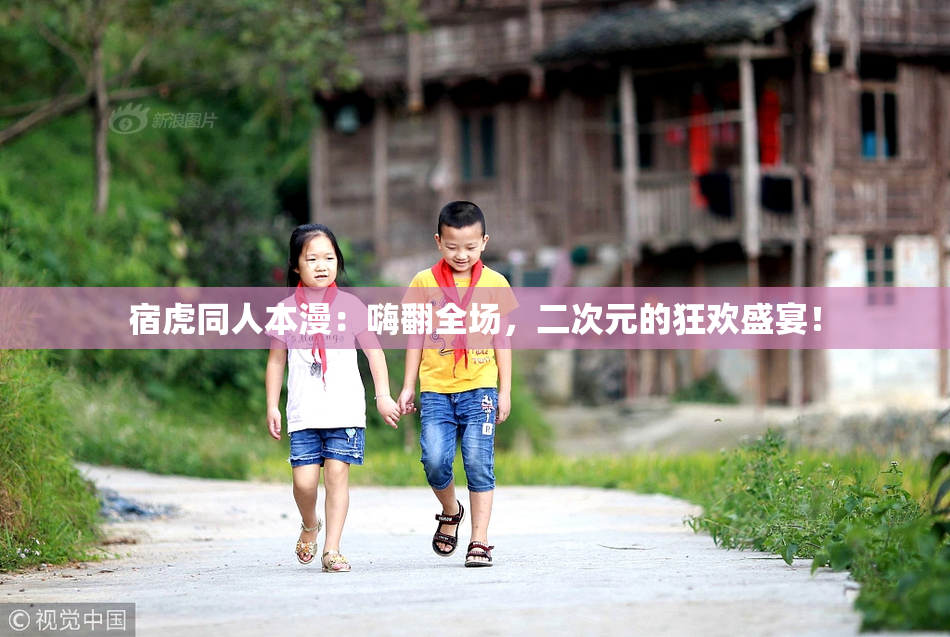 宿虎同人本漫：嗨翻全场，二次元的狂欢盛宴！