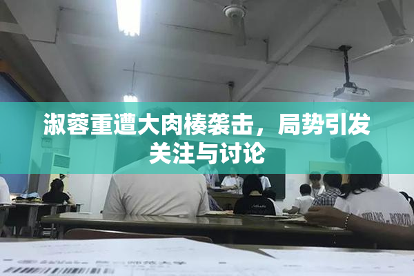淑蓉重遭大肉楱袭击，局势引发关注与讨论