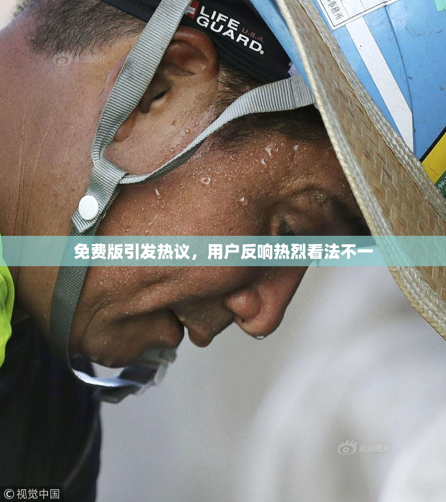 免费版引发热议，用户反响热烈看法不一