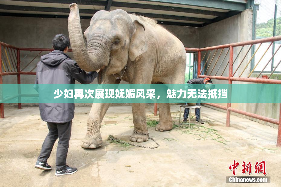 少妇再次展现妩媚风采，魅力无法抵挡