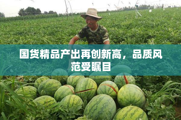 国货精品产出再创新高，品质风范受瞩目