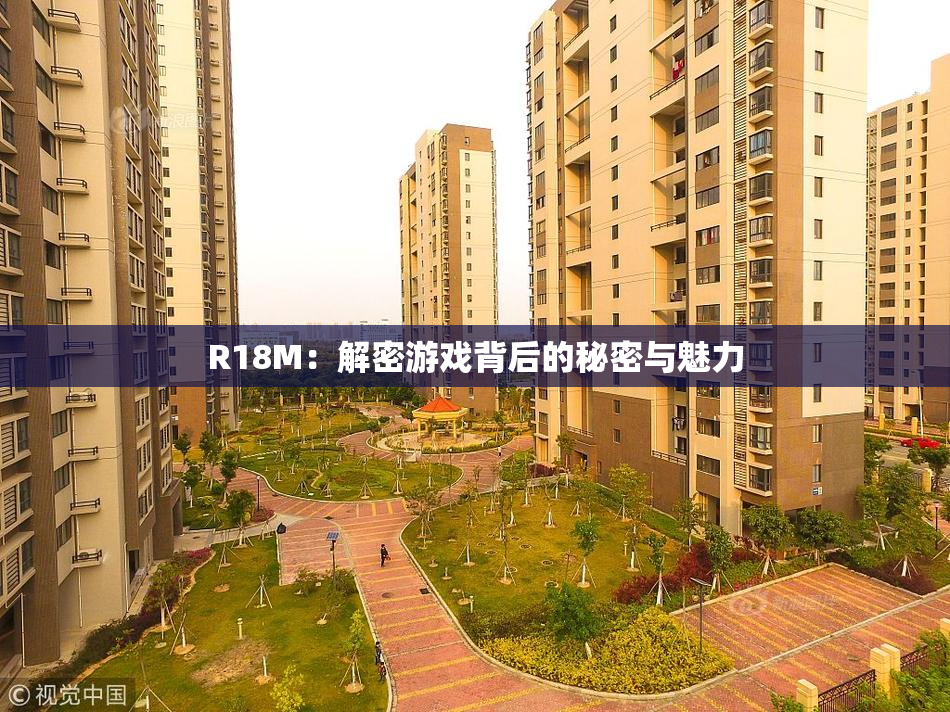 R18M：解密游戏背后的秘密与魅力