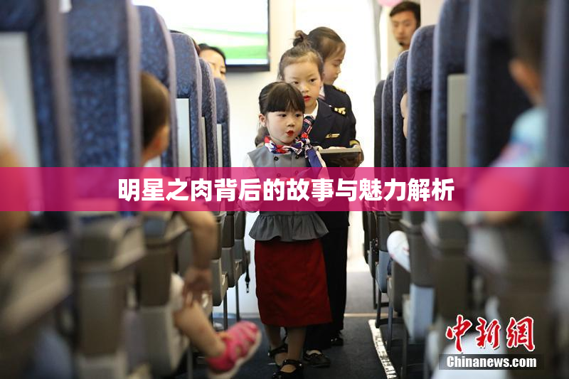 明星之肉背后的故事与魅力解析