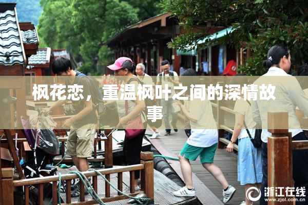 枫花恋，重温枫叶之间的深情故事
