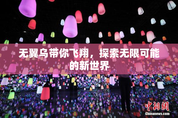 无翼乌带你飞翔，探索无限可能的新世界
