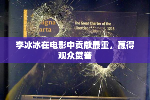 李冰冰在电影中贡献最重，赢得观众赞誉