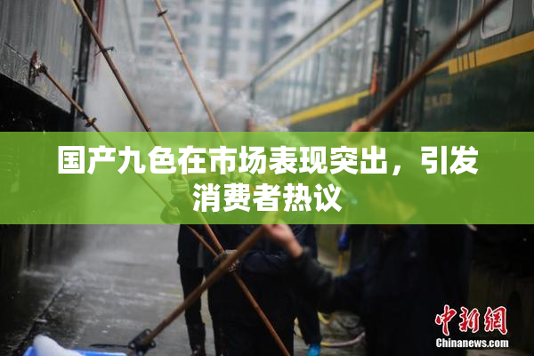 国产九色在市场表现突出，引发消费者热议