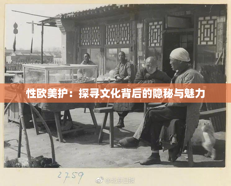 性欧美护：探寻文化背后的隐秘与魅力