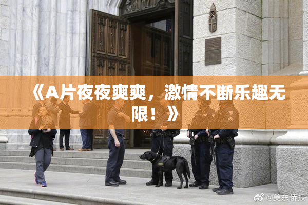 《A片夜夜爽爽，激情不断乐趣无限！》