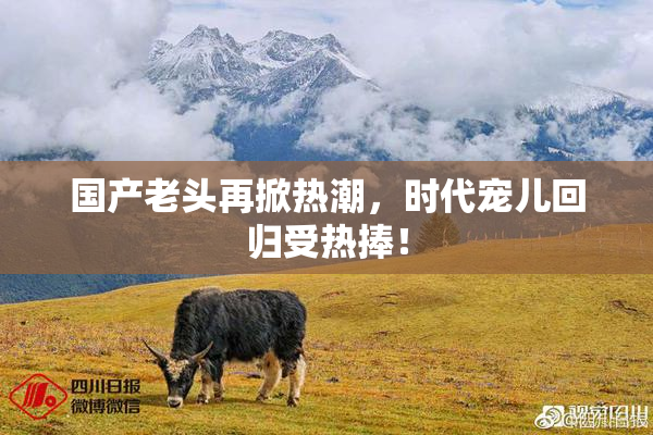 国产老头再掀热潮，时代宠儿回归受热捧！
