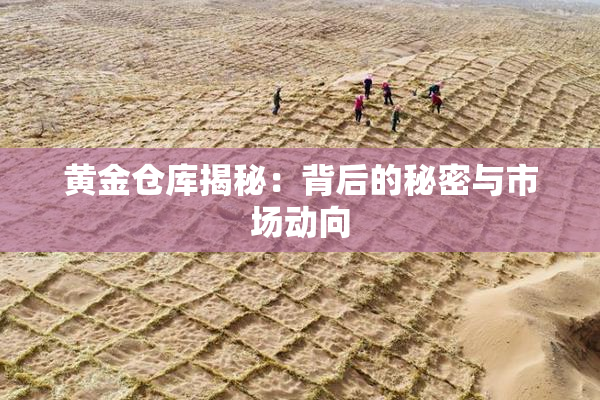 黄金仓库揭秘：背后的秘密与市场动向