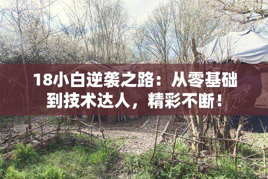 18小白逆袭之路：从零基础到技术达人，精彩不断！