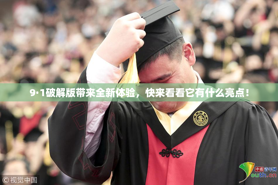 9·1破解版带来全新体验，快来看看它有什么亮点！