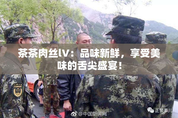 茶茶肉丝lV：品味新鲜，享受美味的舌尖盛宴！