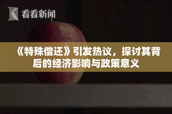 《特殊偿还》引发热议，探讨其背后的经济影响与政策意义
