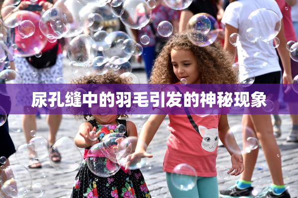 尿孔缝中的羽毛引发的神秘现象