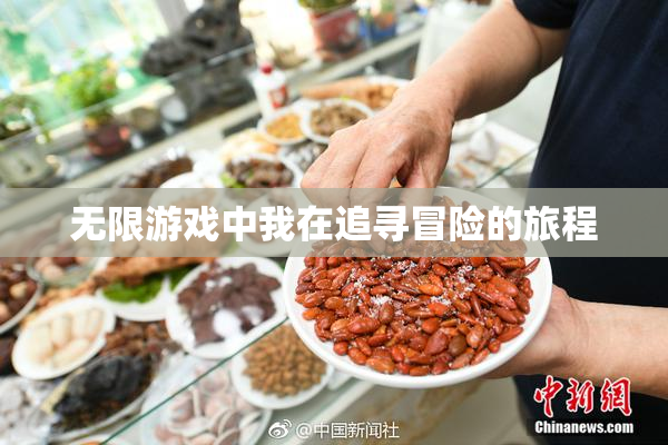 无限游戏中我在追寻冒险的旅程
