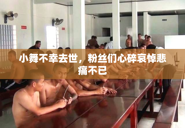 小舞不幸去世，粉丝们心碎哀悼悲痛不已