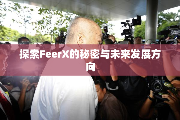 探索FeerX的秘密与未来发展方向