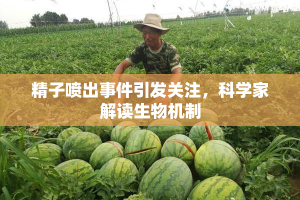 精子喷出事件引发关注，科学家解读生物机制