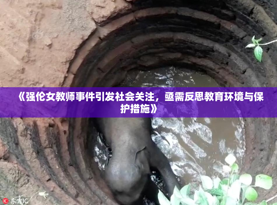 《强伦女教师事件引发社会关注，亟需反思教育环境与保护措施》