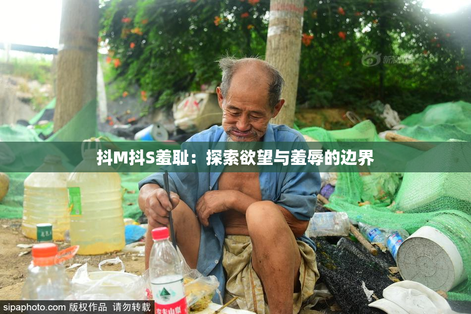 抖M抖S羞耻：探索欲望与羞辱的边界