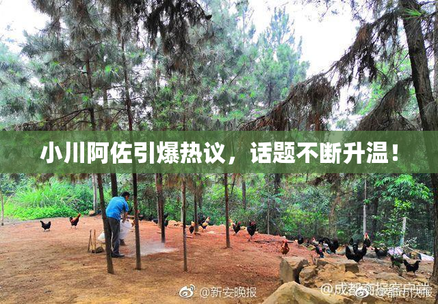小川阿佐引爆热议，话题不断升温！