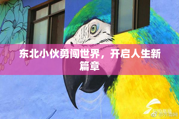 东北小伙勇闯世界，开启人生新篇章