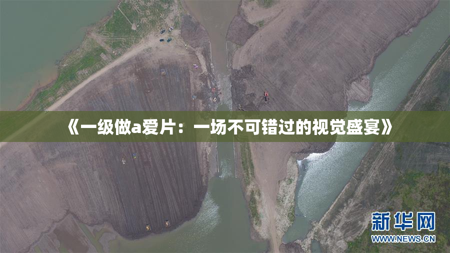 《一级做a爱片：一场不可错过的视觉盛宴》