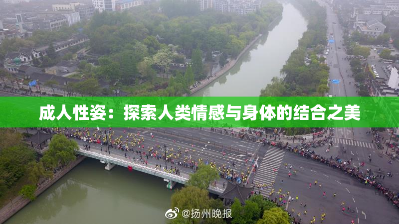 成人性姿：探索人类情感与身体的结合之美