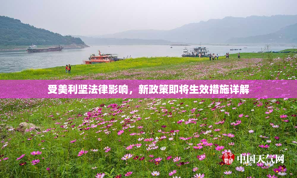 受美利坚法律影响，新政策即将生效措施详解