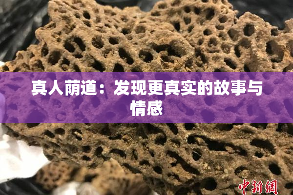 真人荫道：发现更真实的故事与情感