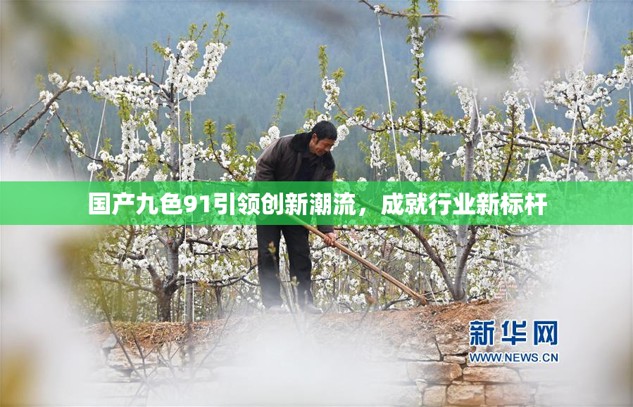 国产九色91引领创新潮流，成就行业新标杆